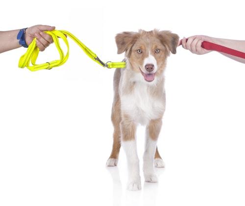 DuPage County divorce lawyers