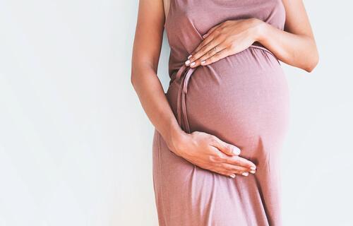 Lombard surrogacy contract lawyer