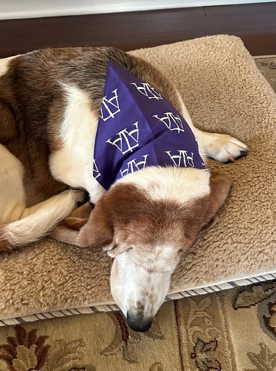 Gus